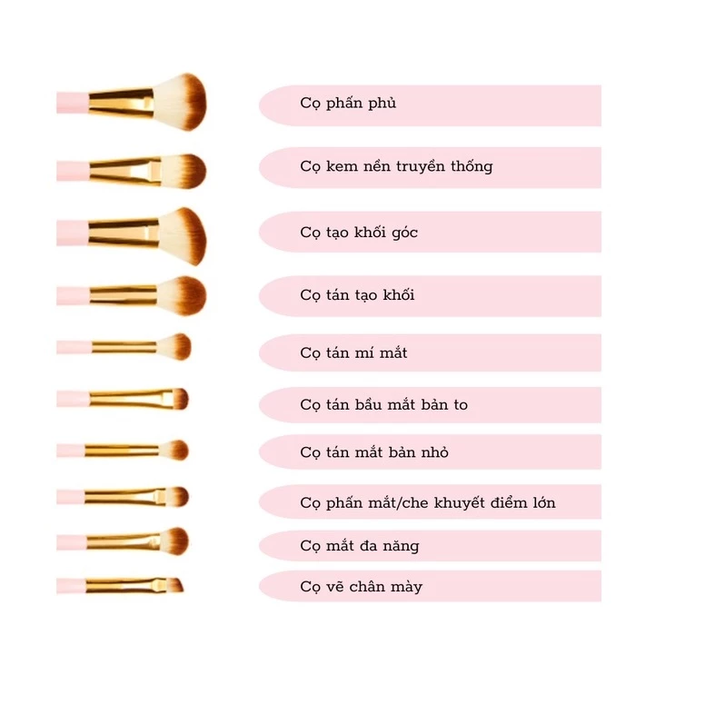Bộ Cọ 10 Cây BH COSMESTICS Pink Perfection BHBO11